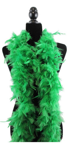Plumas Para Decoración Paquete 50 Unidades