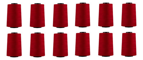 Hilo Importado Coser 100% Poliester 5000 Yardas  X 12 Unid