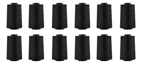 Hilo Importado Coser 100% Poliester 5000 Yardas  X 12 Unid