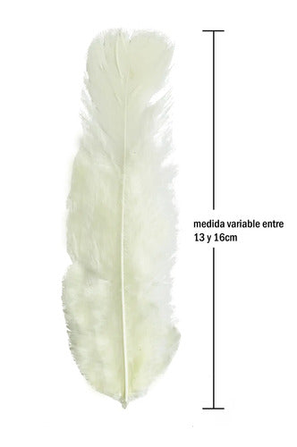 100 Plumas Decorativas Para Manualidades Disfraz