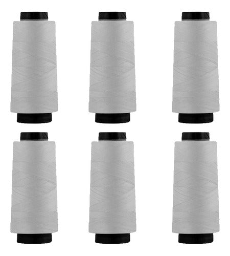 Hilo Importado Coser 100% Poliester 2000 Yardas  X 6 Unid