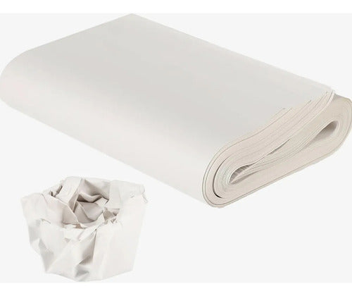 Papel Periódico Pliegos *100 Unidades Caqui