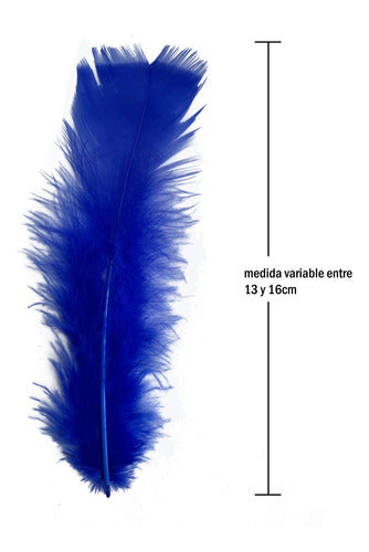 Plumas Decorativas Para Manualidades X500 Unidades