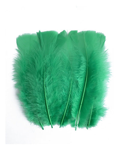 Plumas Decorativas Para Manualidades X500 Unidades