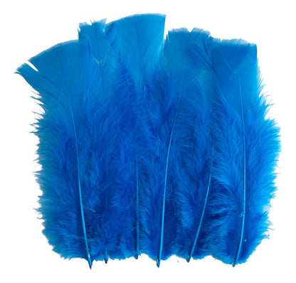 Plumas Decorativas Para Manualidades X500 Unidades