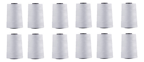 Hilo Importado Coser 100% Poliester 5000 Yardas X 12 Unid Blanco