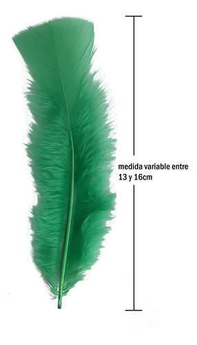 Plumas Decorativas Para Manualidades X500 Unidades