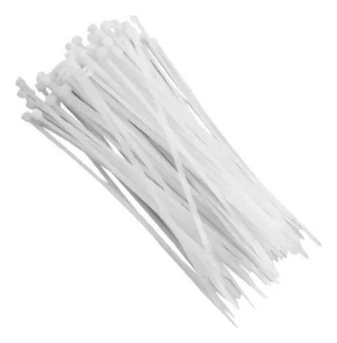 Amarres Plasticos Abrazaderas Transpar Nylon 10 Cm X 500 Uds