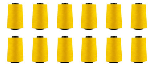 Hilo Importado Coser 100% Poliester 5000 Yardas  X 12 Unid