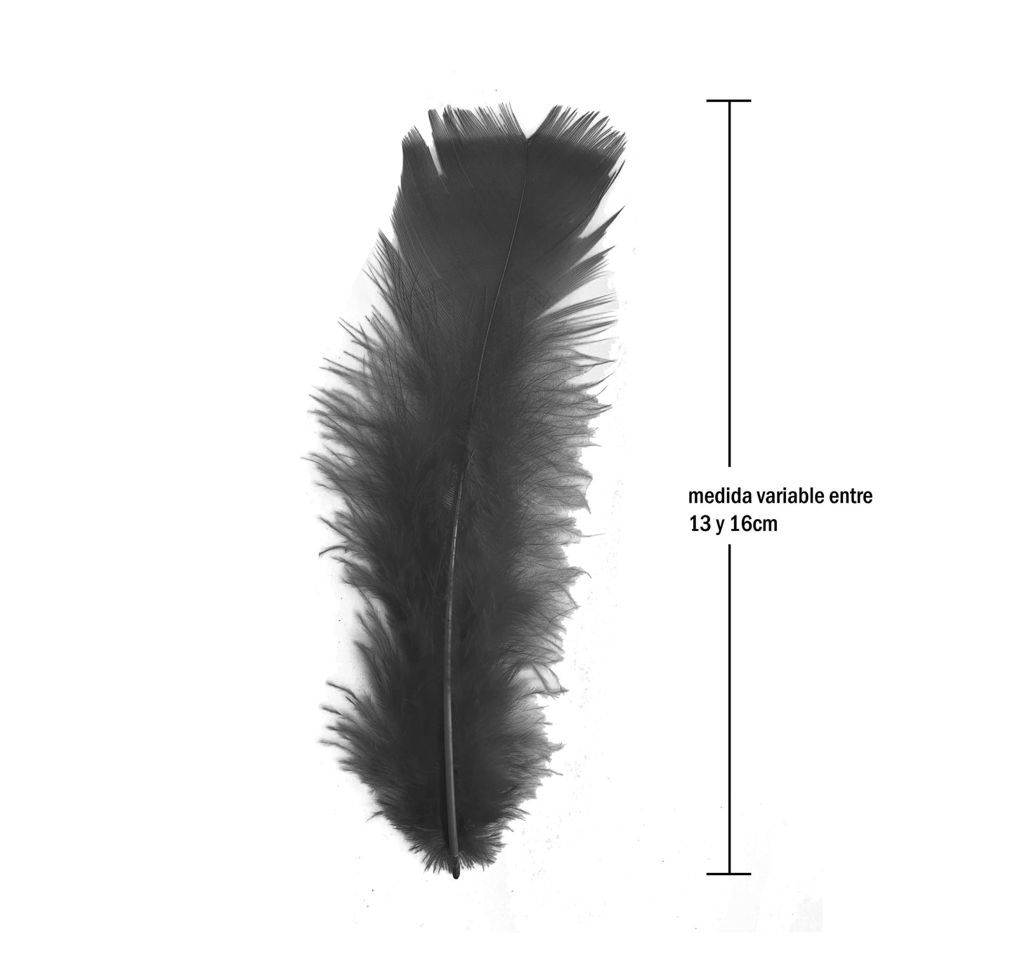 Plumas Para Decoración Paquete 50 Unidades