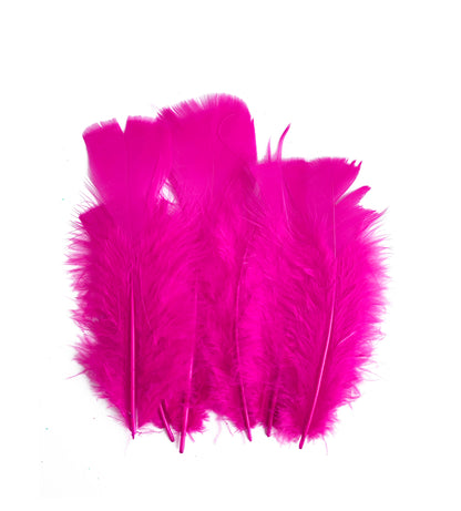 Plumas Para Decoración Paquete 50 Unidades