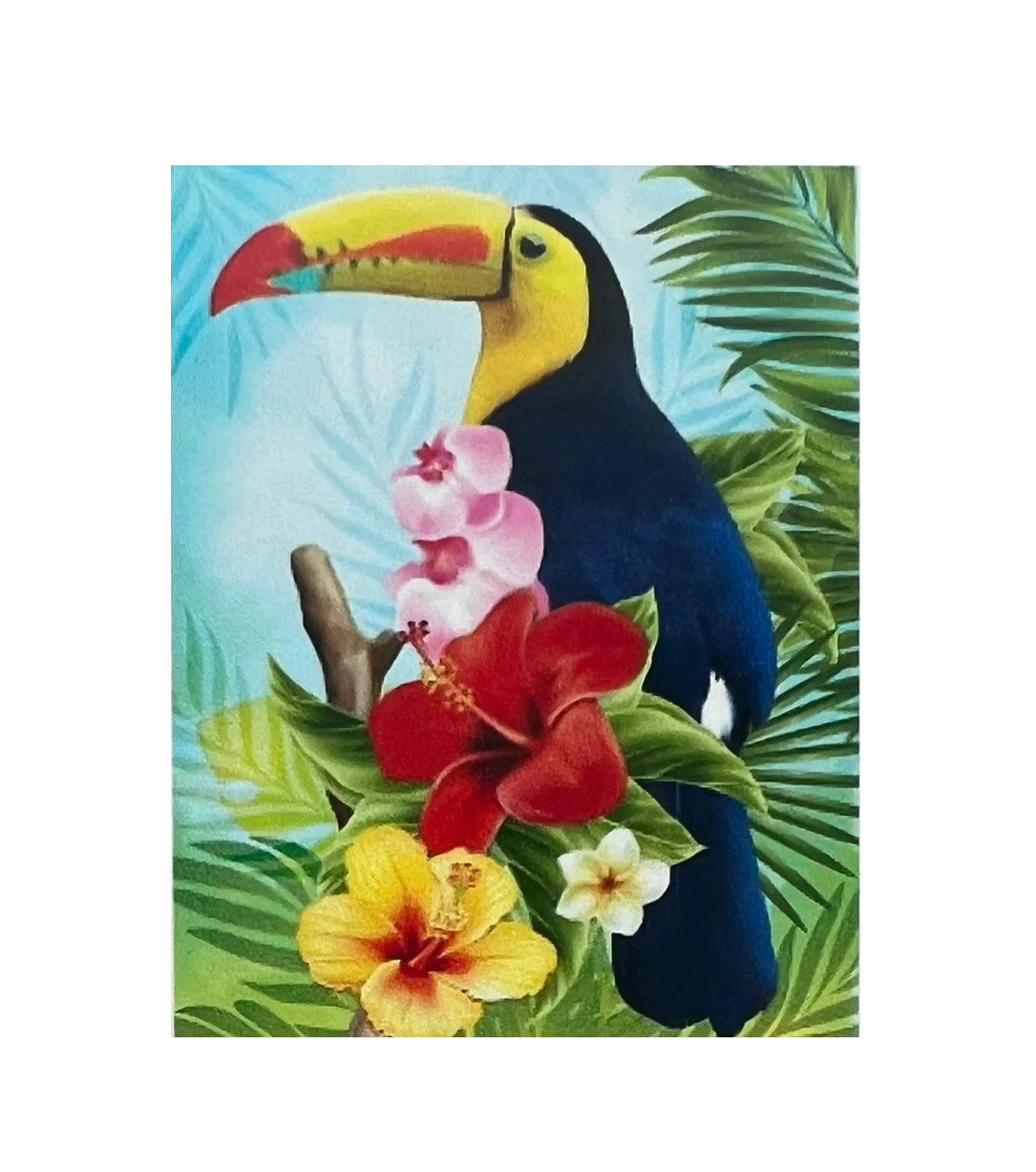 Kit Pintura De Diamantes 5d Para Bricolaje 40x30 Cm Tucan