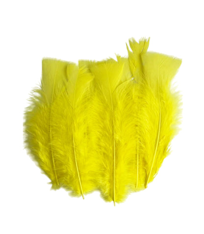 Plumas Para Decoración Paquete 50 Unidades